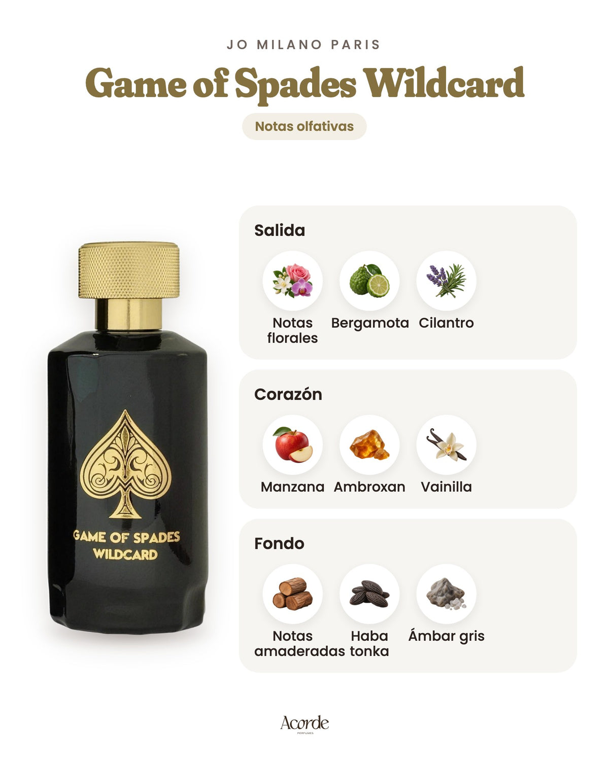 Game of Spades Wildcard de Jo Milano Paris: pirámide olfativa (imagen de prueba)