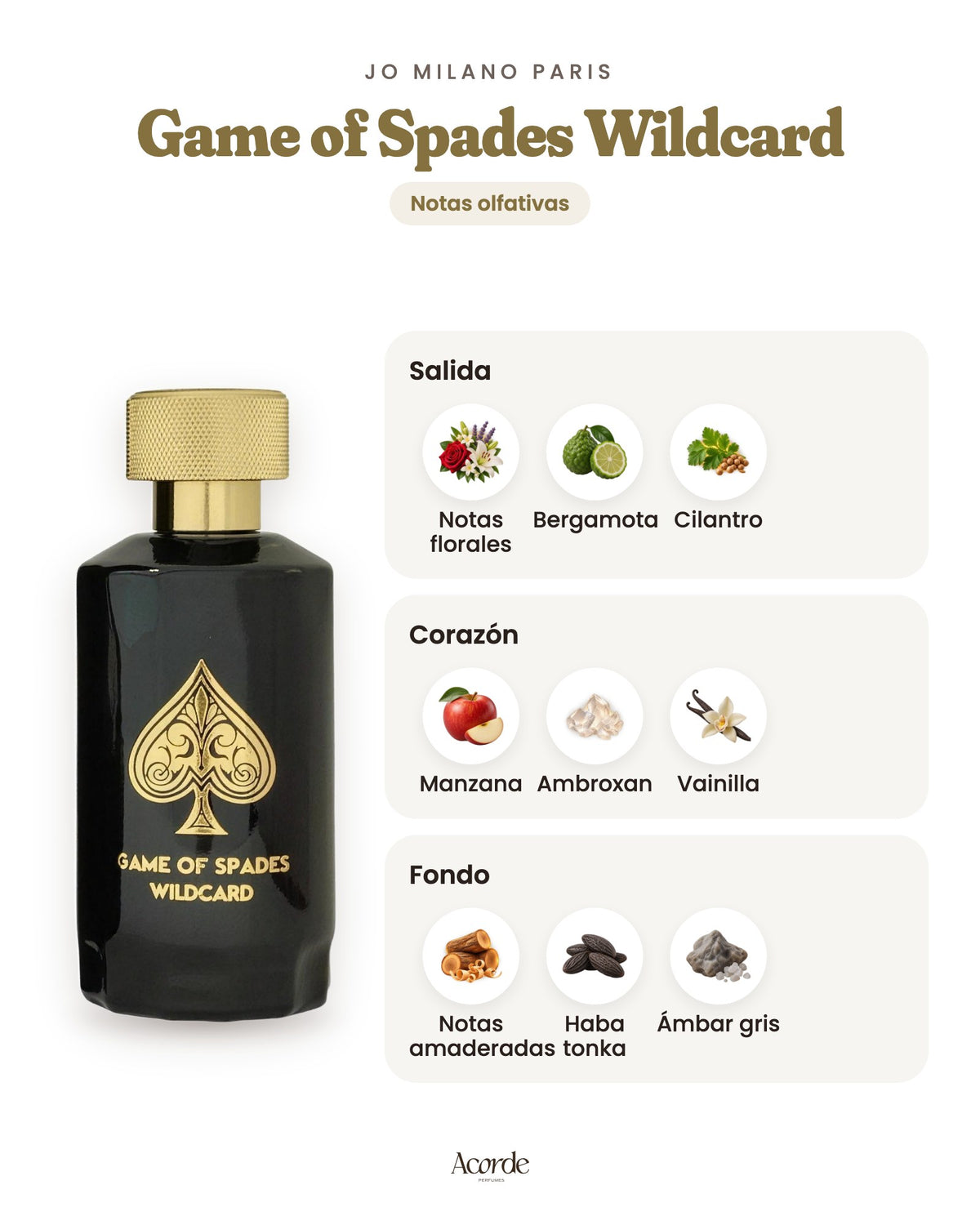 Game of Spades Wildcard de Jo Milano Paris: pirámide olfativa (imagen de prueba)