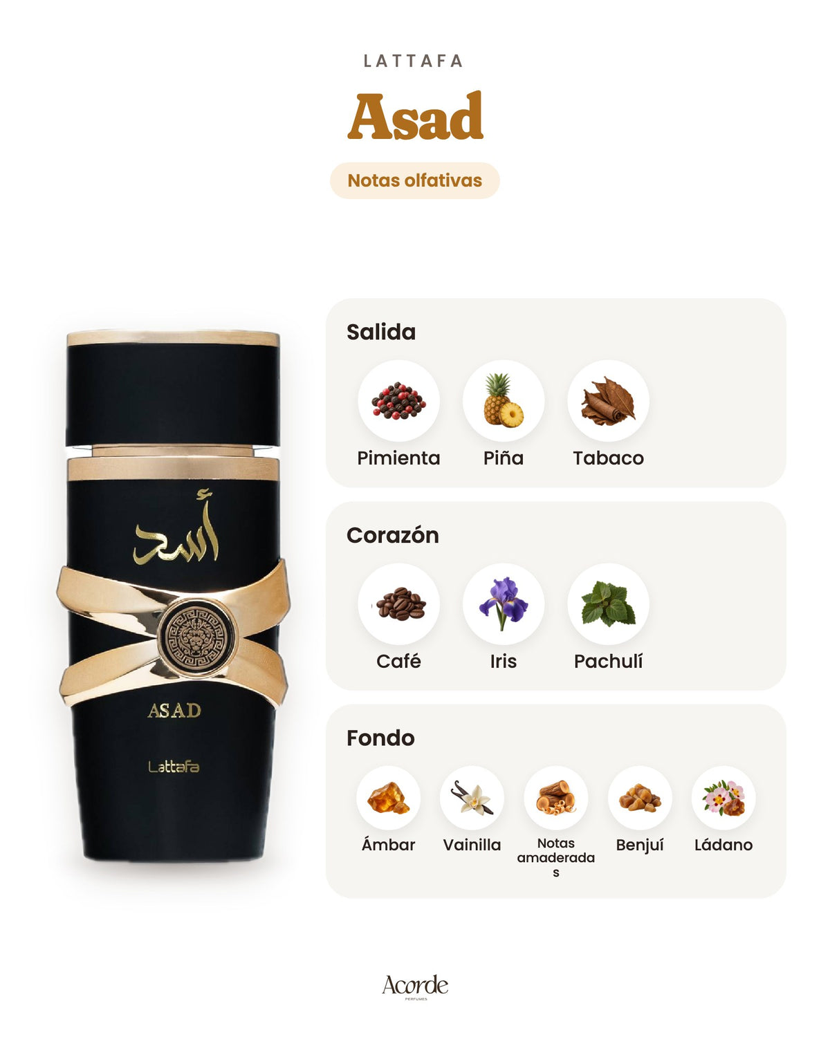 Asad de Lattafa: pirámide olfativa