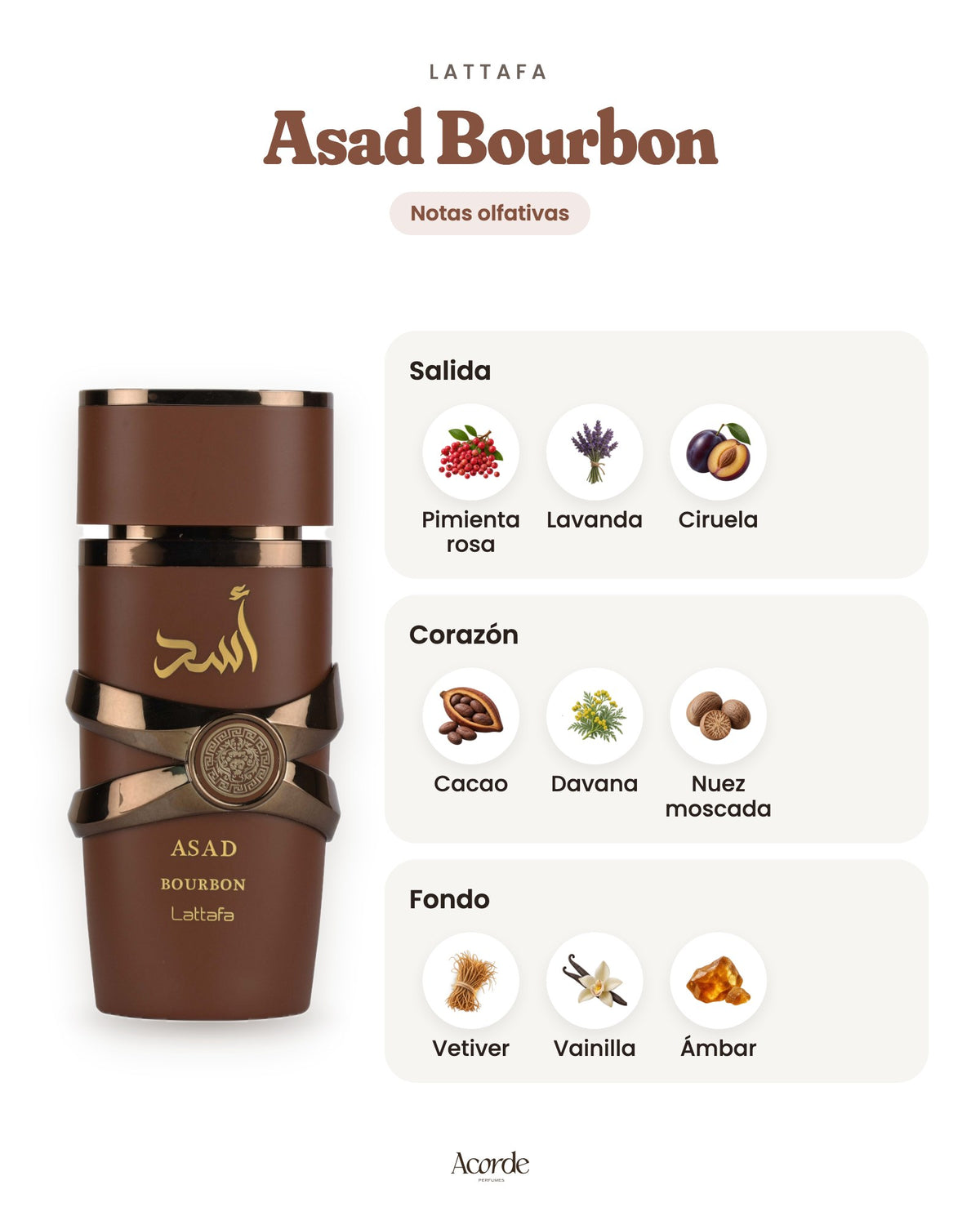 Asad Bourbon de Lattafa: pirámide olfativa