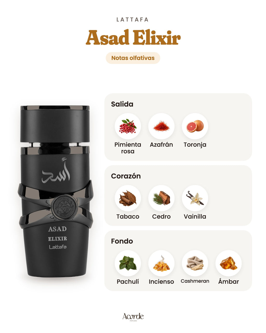 Asad Elixir de Lattafa: pirámide olfativa
