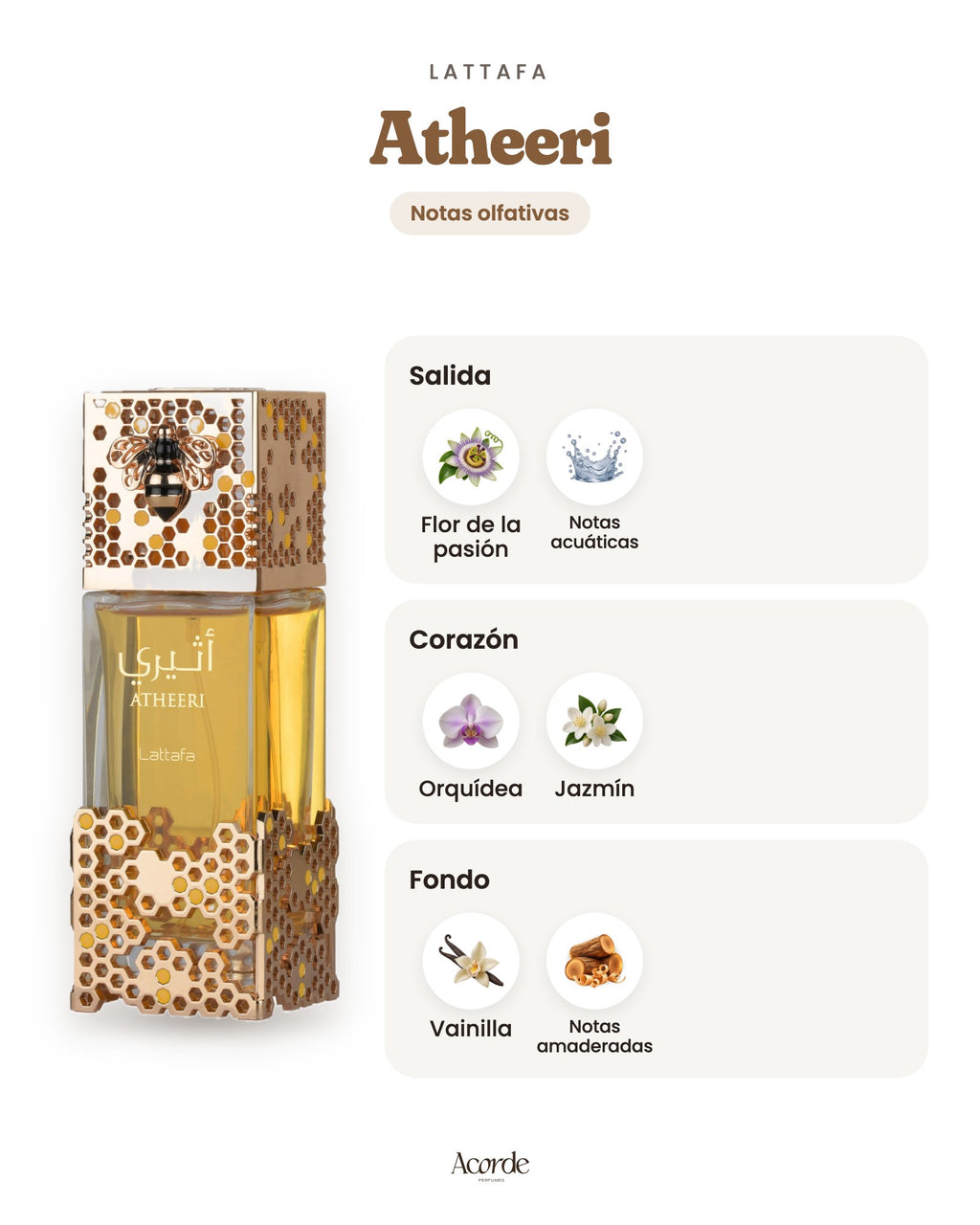 Atheeri de Lattafa: pirámide olfativa