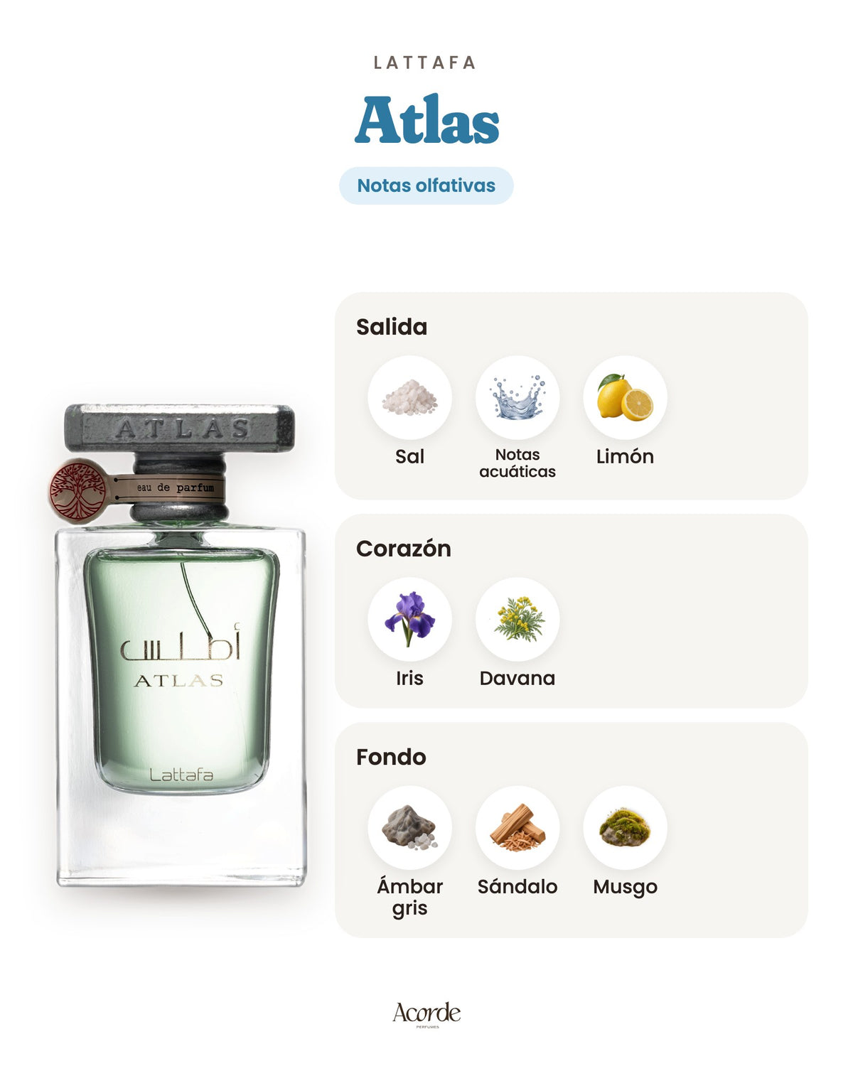 Atlas de Lattafa: pirámide olfativa